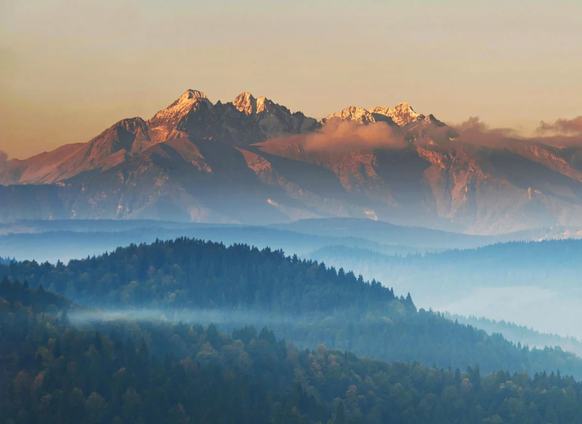 Zobacz czy potrzebujesz wyposażyć mieszkanie?